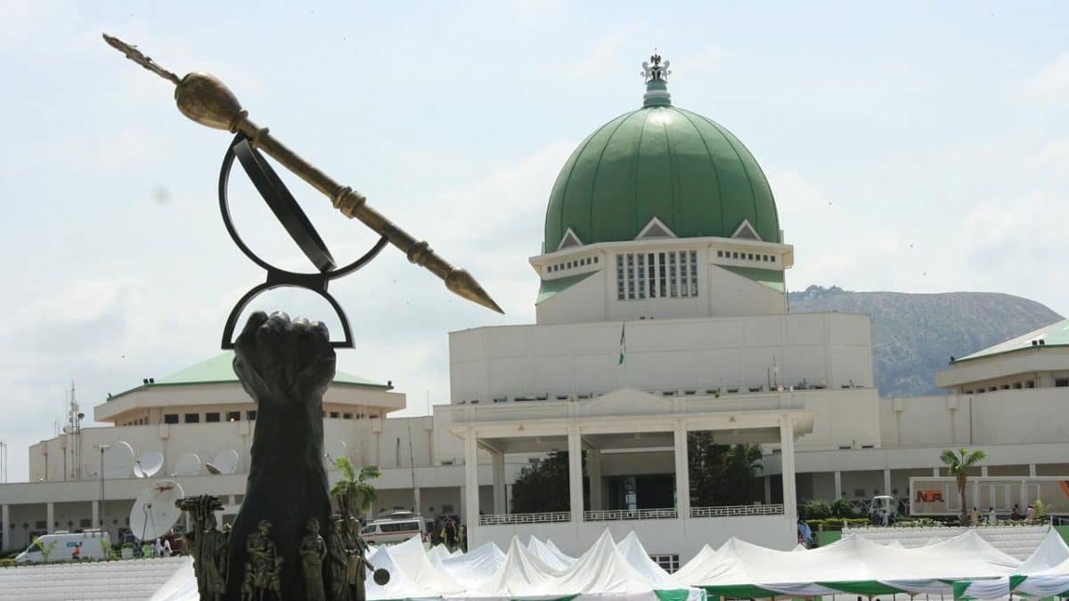 national assembly nass Mixed reactions trail NASS’ proposal to hold 2026 elections in November