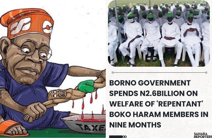 3fccafc3 b425 4b07 a79a 32a93e7b67d4 OPINION: Of President Trump’s Fast, Vicious and Sweet Attack and Tinubu’s Diplomatic Blunders