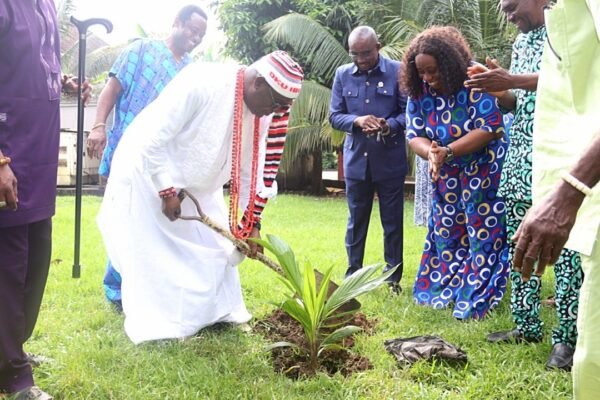 761784ac f852 4d26 8ef4 9a2b901de87f Oku Ibom Ibibio Backs Gov Eno’s Agricultural Revolution, Plants Tenera Palm Seedlings