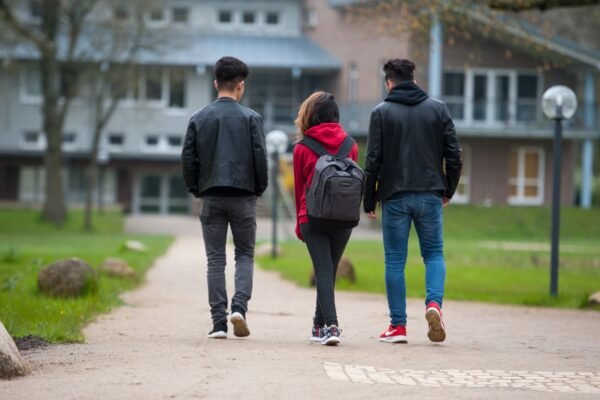 Syrian arrivals in Germany nearly halved since al-Assad was ousted