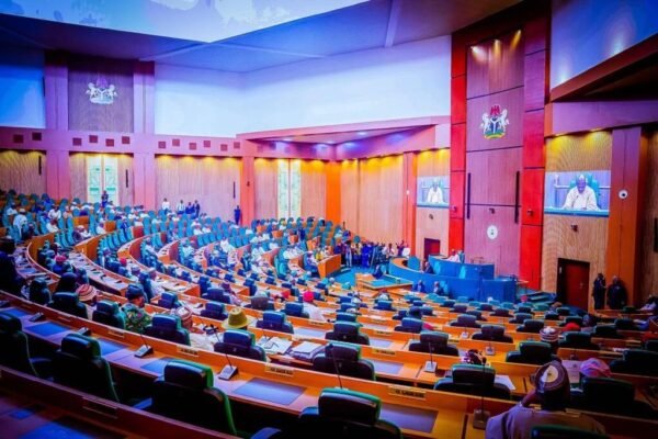 Federal House of Representatives Reps Bill to lower age requirement for Senate and Governorship to 30 scales second reading
