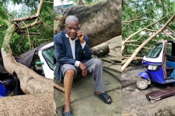 Economic tree falls on 2 keke napeps, injuring 1 in Calabar