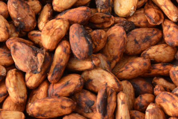 The Income Accelerator: Potential for cocoa farming in Nigeria?