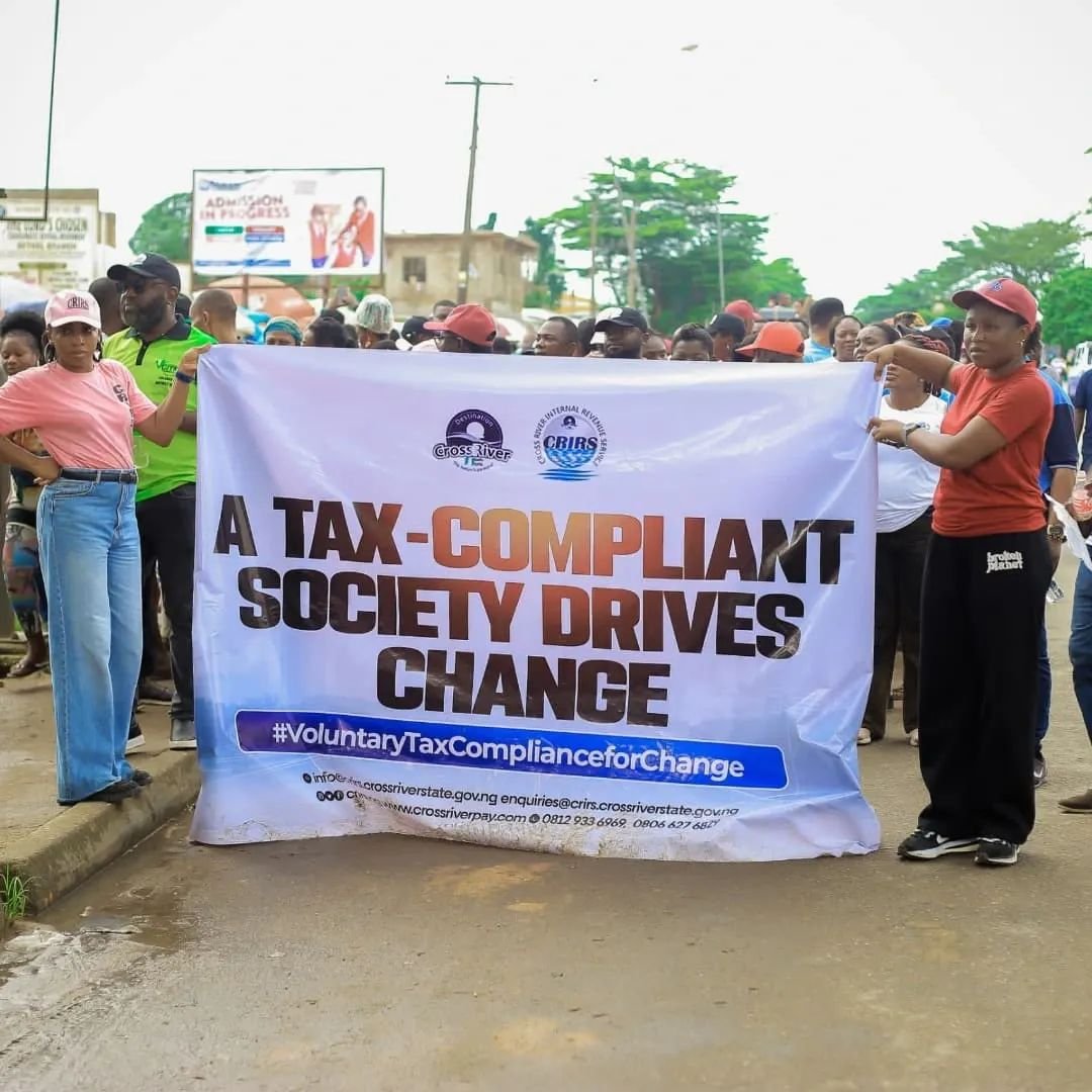 Tax Reform: Professional bodies will be our target in 2026 - IRS