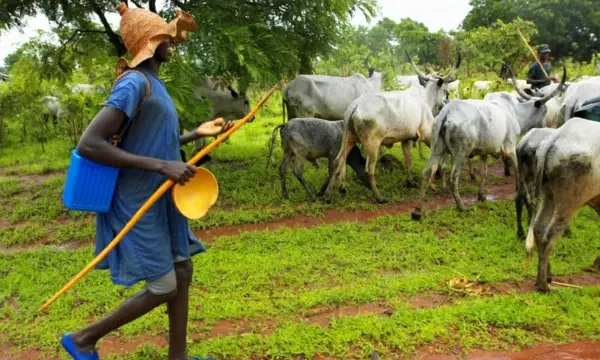CRSG withdraws permit granting Fulani herdsmen access from Ebonyi
