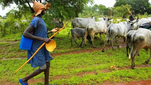 CRSG withdraws permit granting Fulani herdsmen access from Ebonyi