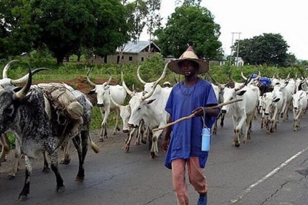 Cross River Govt grants Fulani herdsmen access from Ebonyi