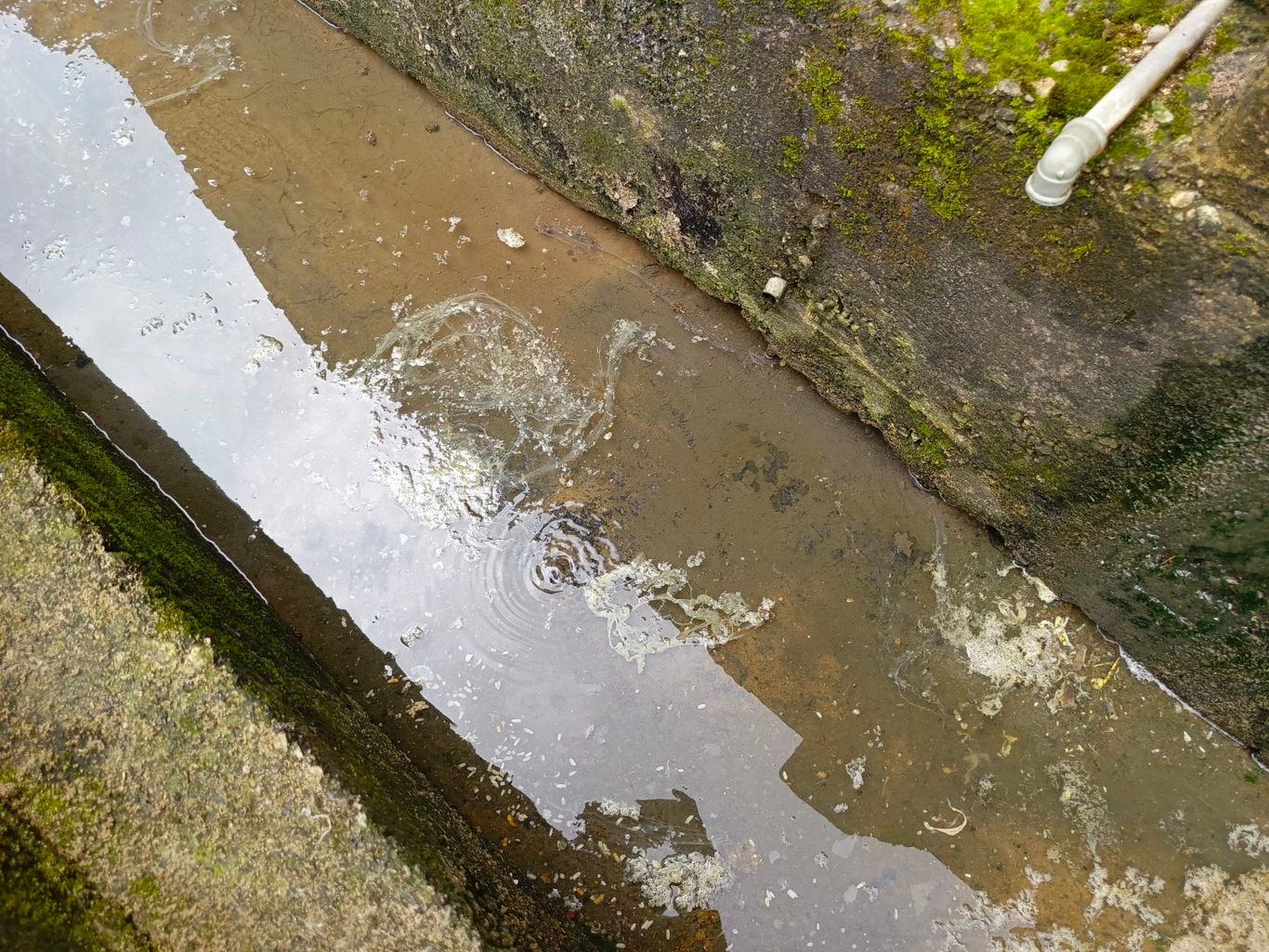 leaked water board pipes Survey exposes WASH gaps in Cross River LGA