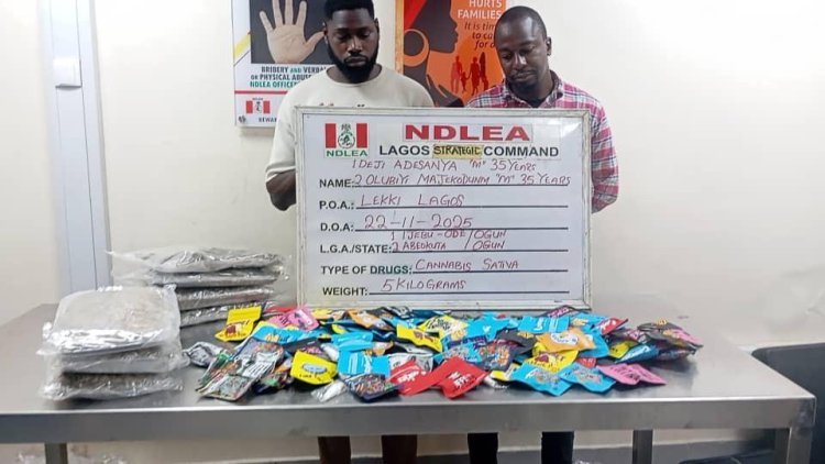 ndlea drug suspects NDLEA uncovers drug syndicates selling cannabis as 'Christmas cookies' on WhatsApp