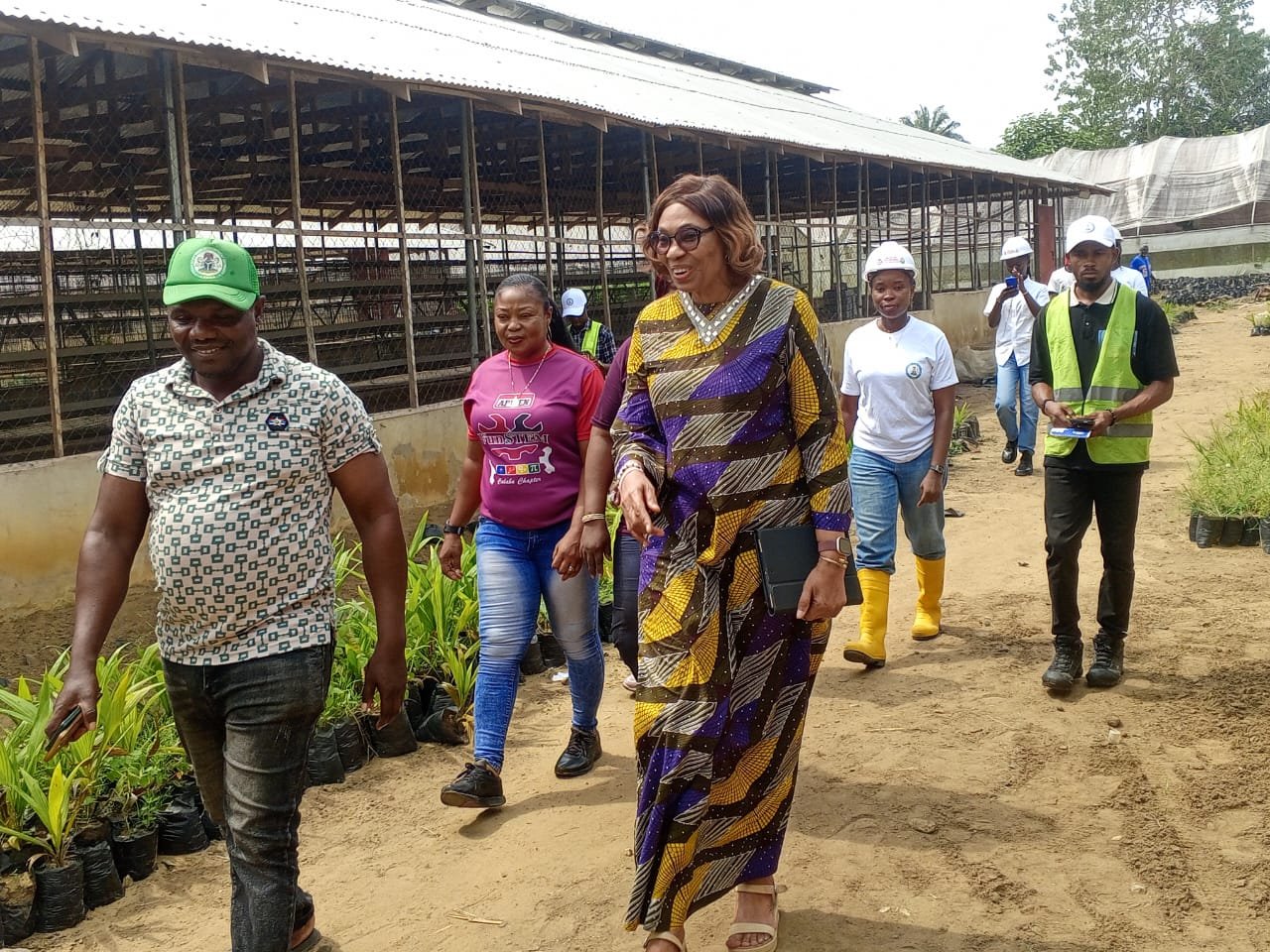 apwen calabar How APWEN is using young engineers to address food insecurity