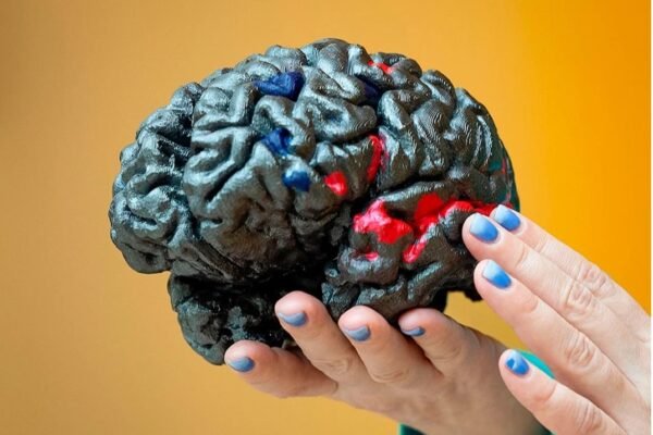 biological ChatGPT MIT neuroscientist discovers biological version of ChatGPT hidden in human brain