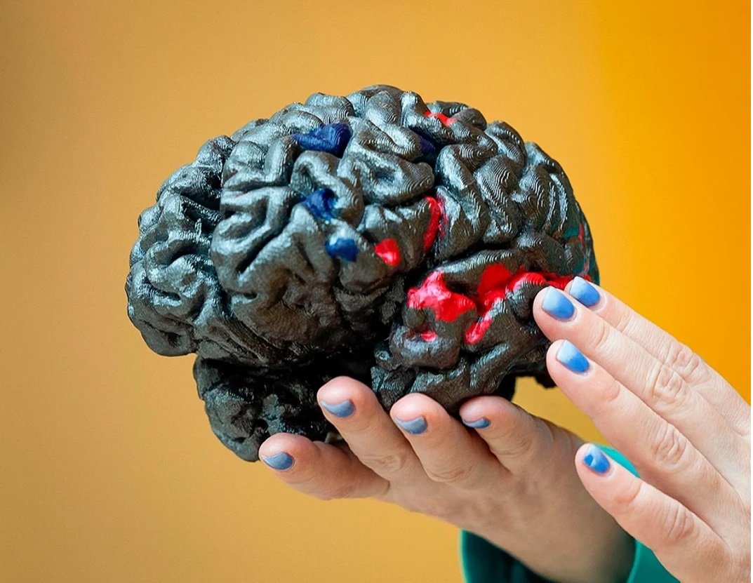 biological ChatGPT MIT neuroscientist discovers biological version of ChatGPT hidden in human brain