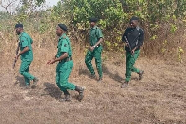 fg forest guards Bandits kill 5 Forest Guards in Oyo