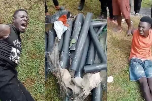 nddc solar lights vandals NDDC to prosecute vandals in Cross River