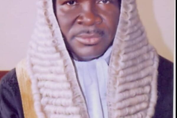 0a5f6313 b479 48f3 8d36 1d27eed06968 Stop Media Lynching, Character Assassination, Pre-Judgment of Ozekhome, IYC Warns