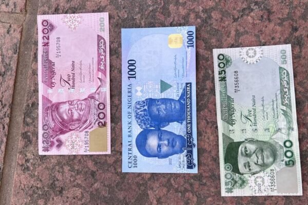 New Naira 2 1 Court jails 2 for stepping on naira notes