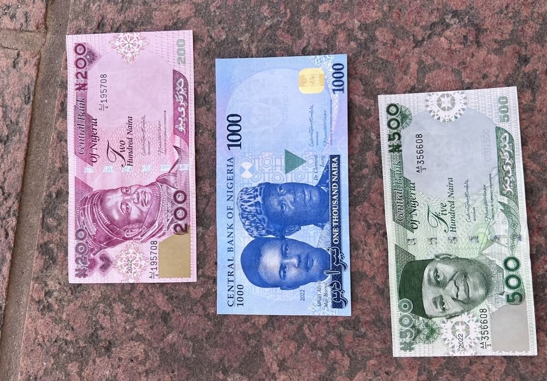 New Naira 2 1 Court jails 2 for stepping on naira notes