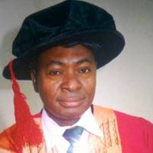 Professor Monday Igwe Court orders reinstatement of Enugu hospital MD