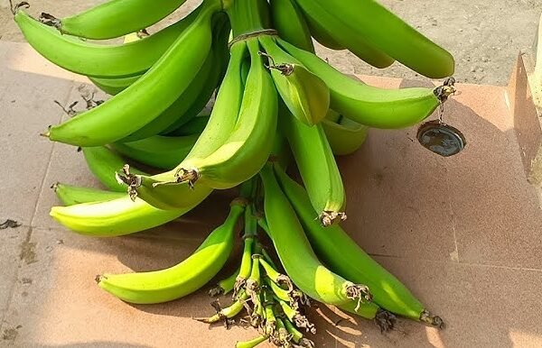 bunch of plantain 2 men kill each other over bunch of plantains in Cross River