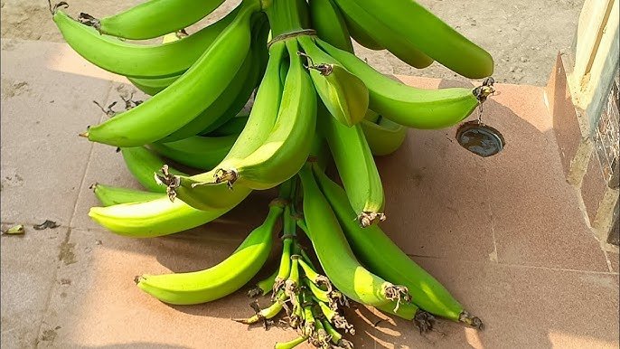 bunch of plantain 2 men kill each other over bunch of plantains in Cross River