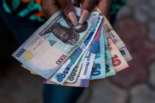 naira notes FG disburses ₦688bn in cash transfers to 9 million households