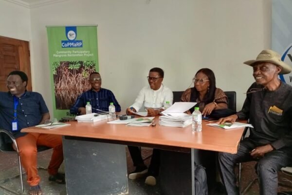 7764ec71 248d 46c7 ba44 26d141943c46 C'River Deforestation Crimes: A Call to Action for Sustainable Management