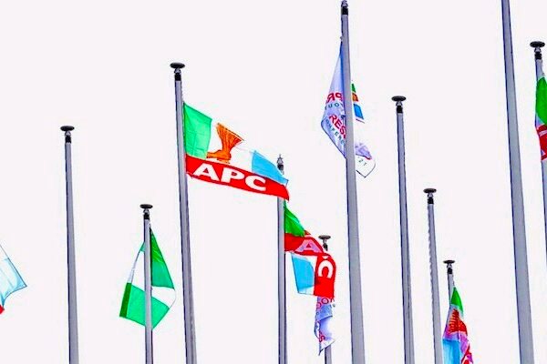 APC flag APC Governors at war over NWC positions