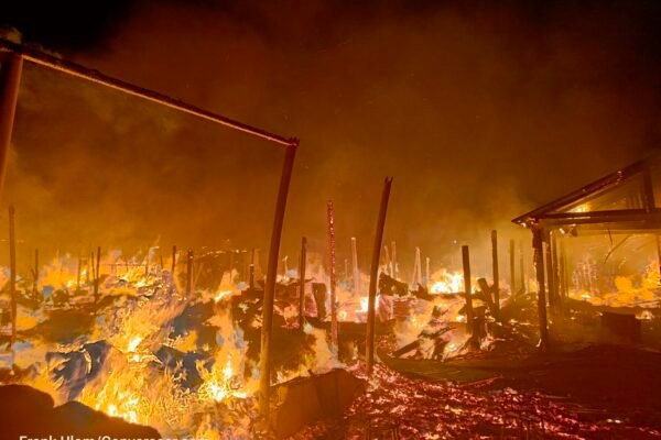 Calabar Akim Timber Market Fire "Send down rain, Lord", business owners cry as fire guts timber market in Calabar