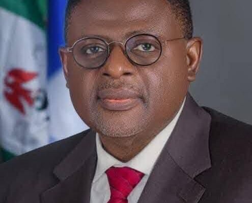 f17efa4f 8f75 4034 b4b8 60ed400da1a9 Illegal Mining Banned in Cross River, Govt. Cannot Account For Money From it, Otu