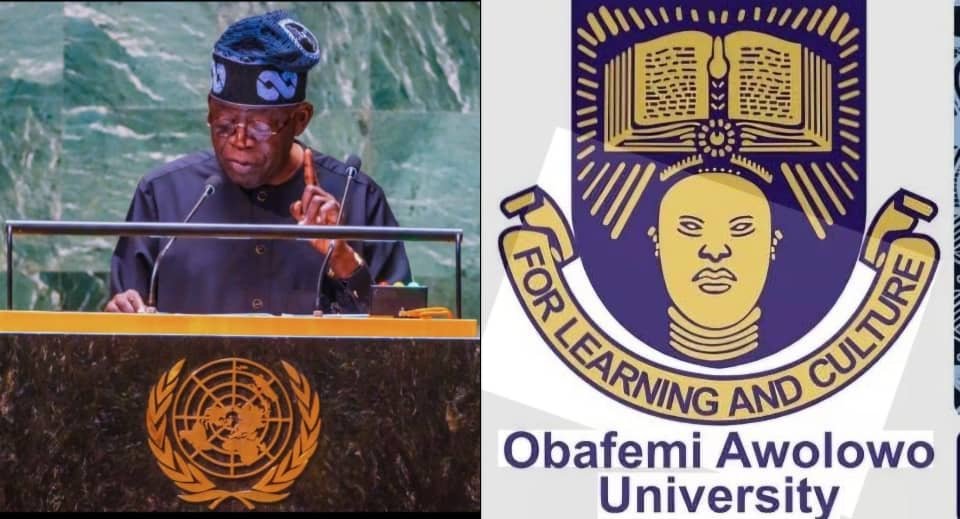 6f51d5ff 4f31 486e 8d04 9af73b036d4e OAU VC, Scholars Hail President Tinubu’s Choice of Jimoh Ibrahim as UN Envoy