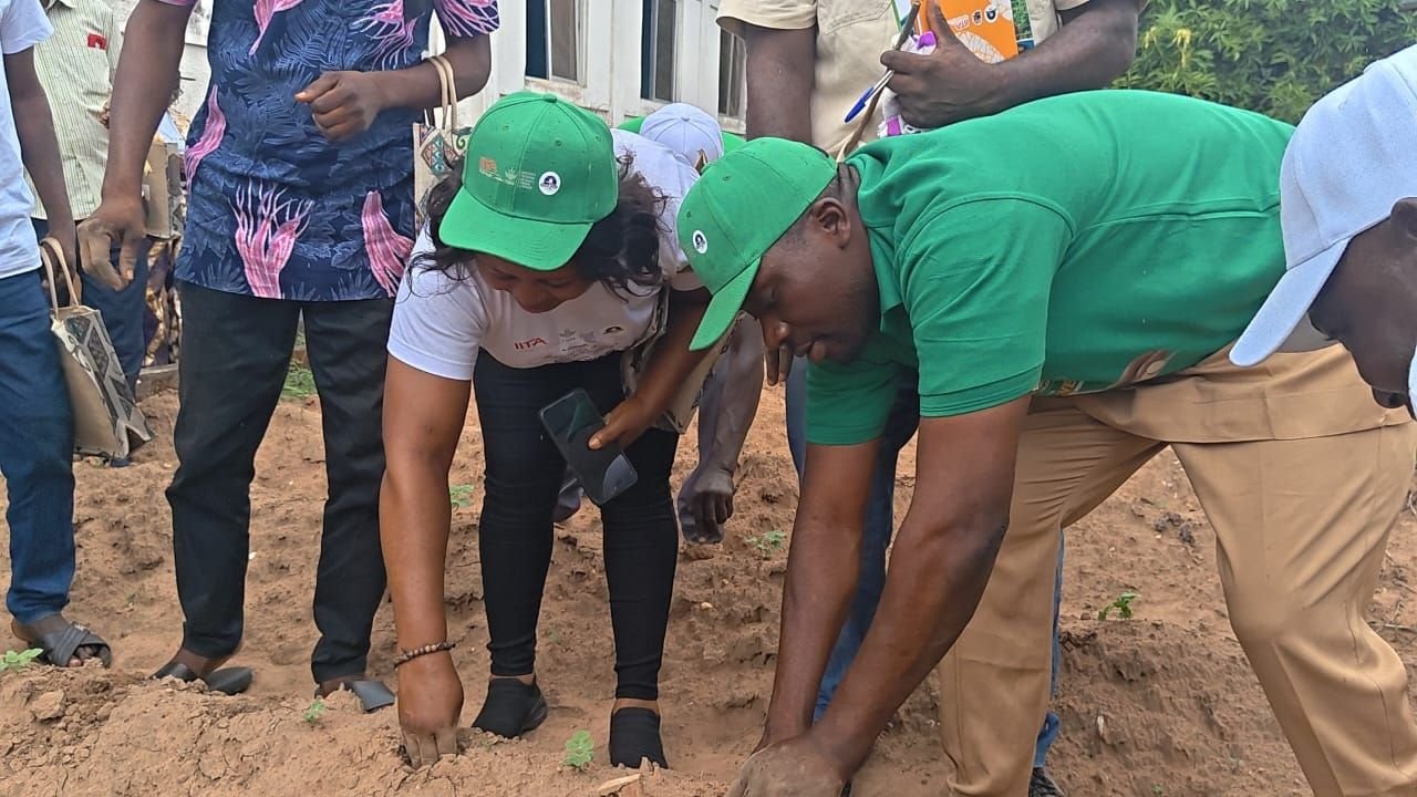 image 289 C’River Trains 400 on Modern Seed Yam Production