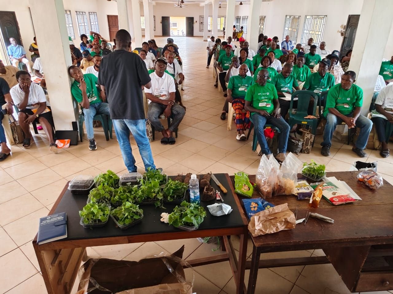 image 290 C’River Trains 400 on Modern Seed Yam Production