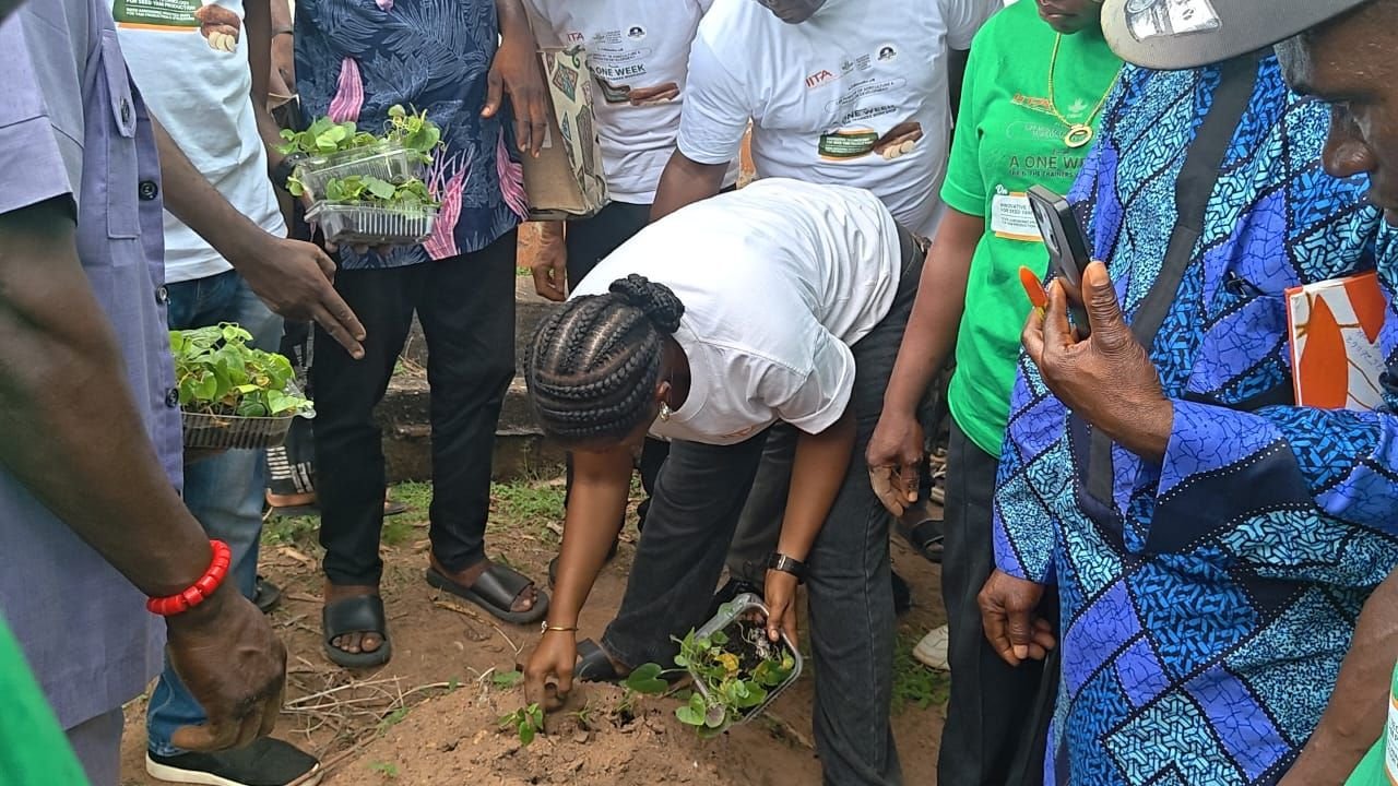 image 293 C’River Trains 400 on Modern Seed Yam Production