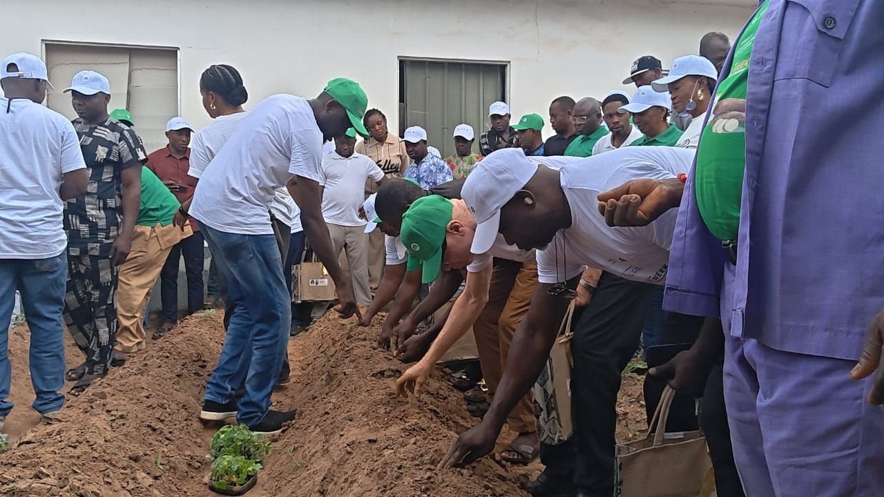 image 294 C’River Trains 400 on Modern Seed Yam Production