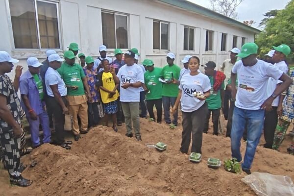 image 297 C’River Trains 400 on Modern Seed Yam Production