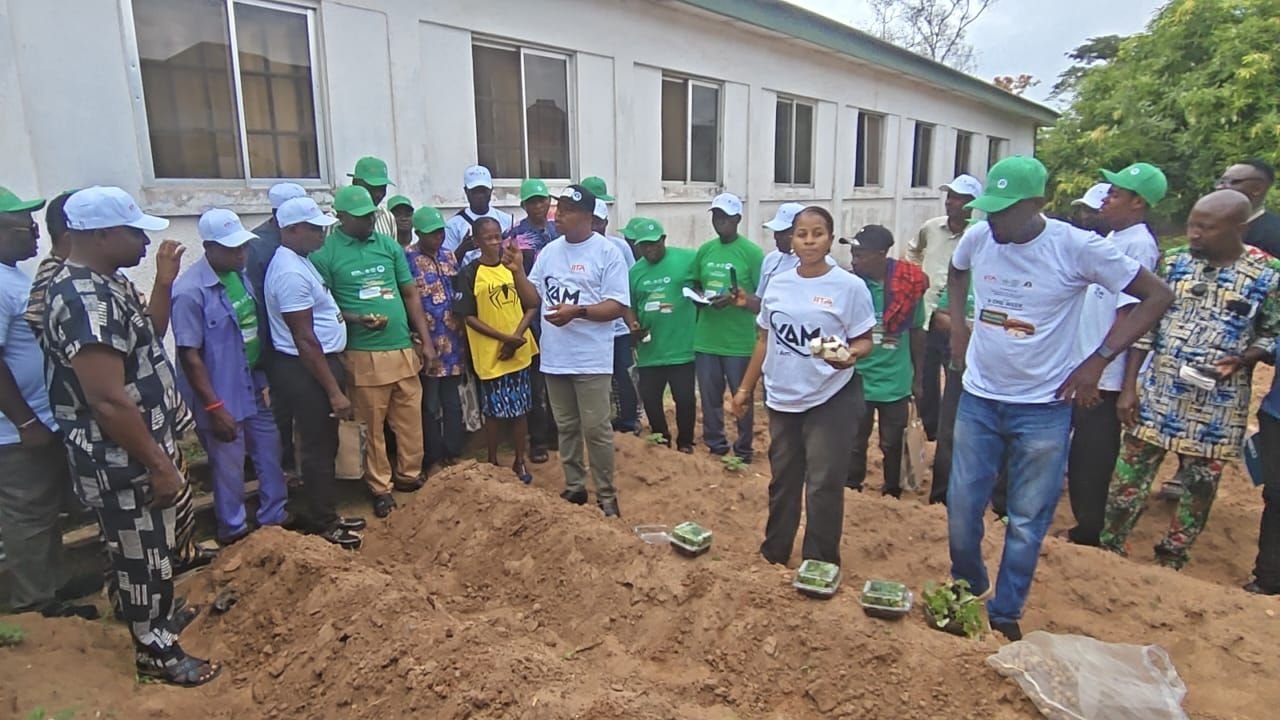 image 297 C’River Trains 400 on Modern Seed Yam Production