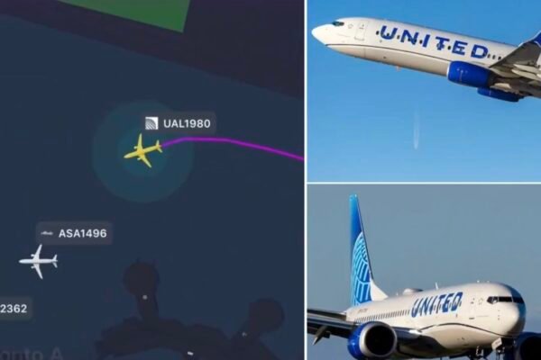 temp Screenshot 20260430 003104 Drone Hits United Airlines' Boeing 737 Jumbo Jet in San Diego