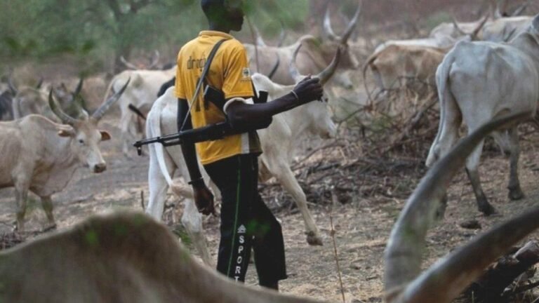 fulani militants 30,000 Fulani Militants Fuelling Insecurity in Nigeria - USCIRF