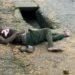 Mob kills 2 men for allegedly stealing phone in Calabar