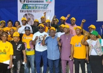 2027: N2N vows to give Otu over one million votes, takes reelection campaign to South