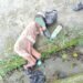 Hospital reportedly rejects minor allegedly raped by Skolombo Boys in Calabar