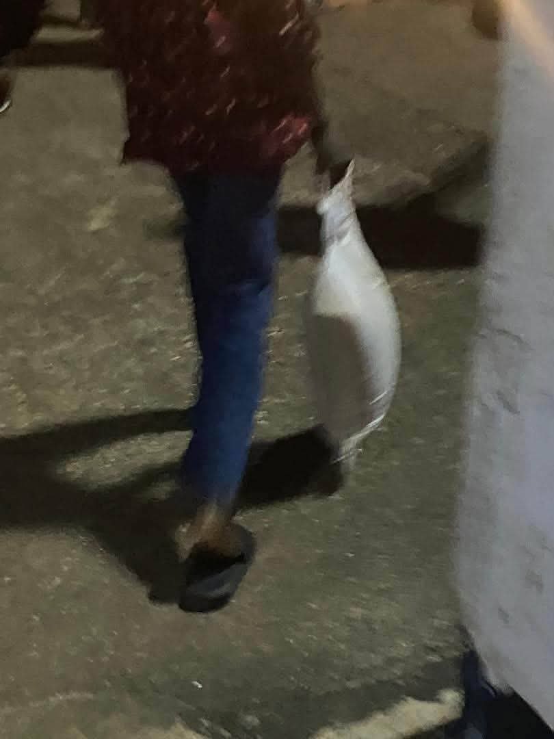 Eyoanwan Otu Empowerment Stampede 3 Woman dies, another severely injured at Gov. Otu's wife's empowerment in Ogoja