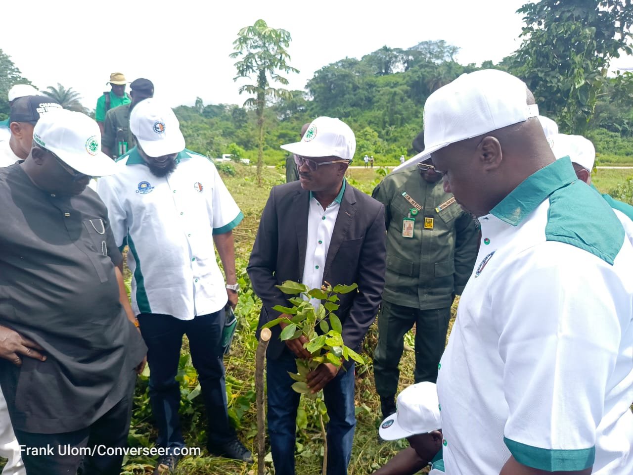 IMG 20261010 WA0004 PROWPMAN Restores 200 Hectares of Forest in Cross River, Targets 2 Million Seedlings