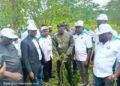 PROWPMAN Restores 200 Hectares of Forest in Cross River, Targets 2 Million Seedlings