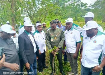 PROWPMAN Restores 200 Hectares of Forest in Cross River, Targets 2 Million Seedlings