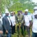 PROWPMAN Restores 200 Hectares of Forest in Cross River, Targets 2 Million Seedlings