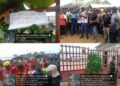 Coastal Highway: Workers protest, demand expatriates’ sack, Liaison Officer’s reinstatement